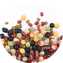 Terra Ingredients Organic Beans
