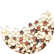 Terra Ingredients Organic Grains and Seeds