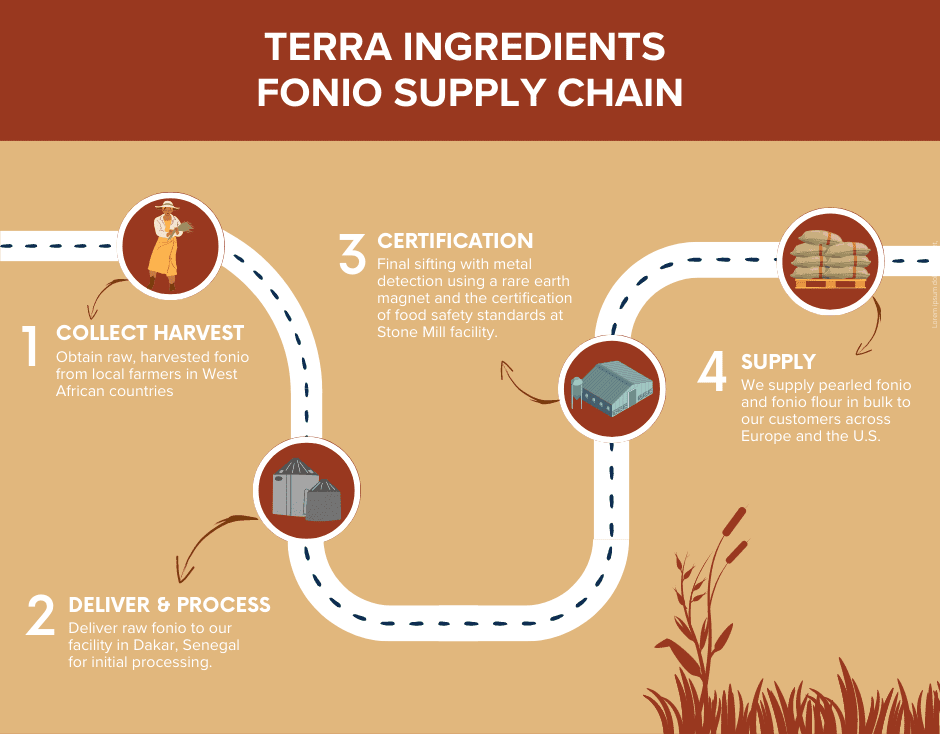 Terra Ingredients Fonio Supply Chain infographic