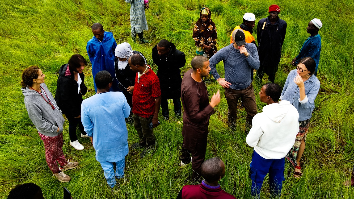 Men and women converse with one another while standing in a fonio field