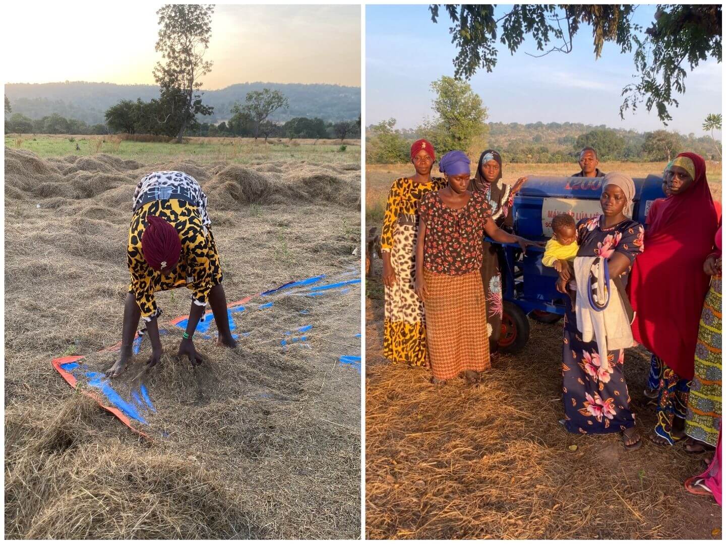 Two photos show women conducting the manual labor of processing fonio by hand and posing for a photo in front of a threshing machine