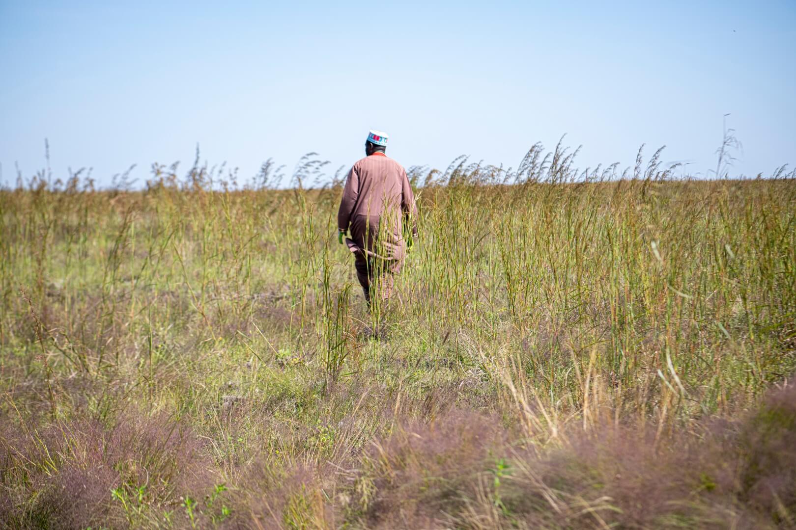 A man is walking through an arid field